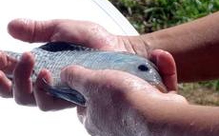 Cirurgia de coluna pode ser minimamente invasiva, diz neurocirurgião alagoano