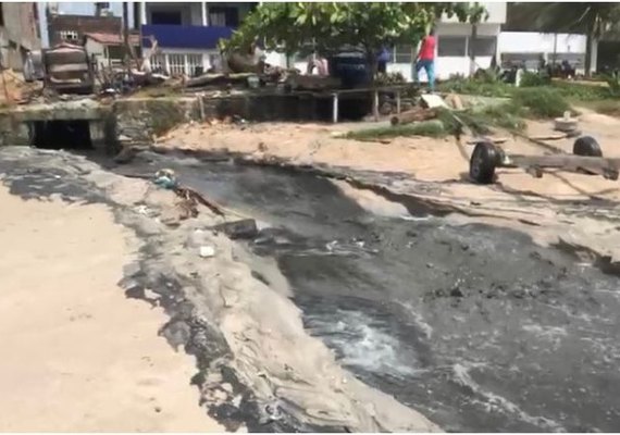 Verde Alagoas autuada em R$ 500 mil por crime ambiental