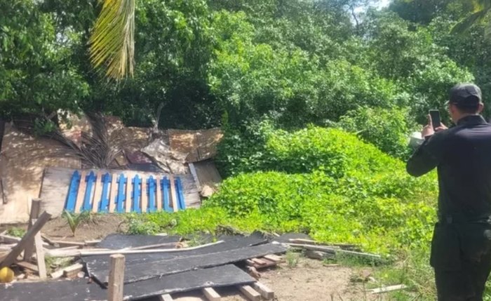 Mortes dos peixes-boi Netuno e Paty foram confirmadas na base avançada do Centro Nacional de Pesquisa Mortes dos peixes-boi Netuno e Paty foram confirmadas na base avançada do Centro Nacional de Pesquisa