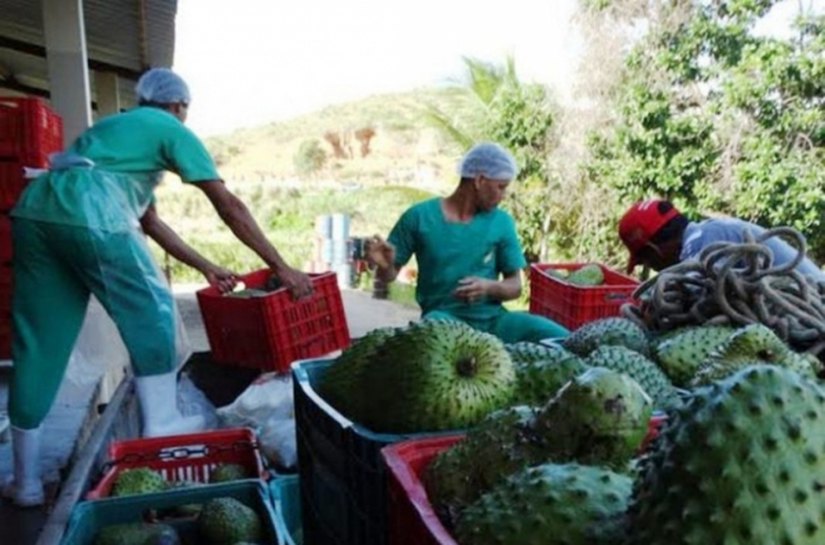 Emater apoiará cooperativas e associações a acessar linhas de crédito