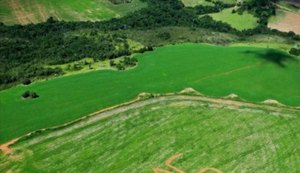 Deputado se surpreendeu com a homenagem e se disse lisonjeado. Foto: Reprodução/Redes Sociais.