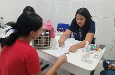 Equipe do Castramóvel atende 98 animais de moradores do Gama Lins