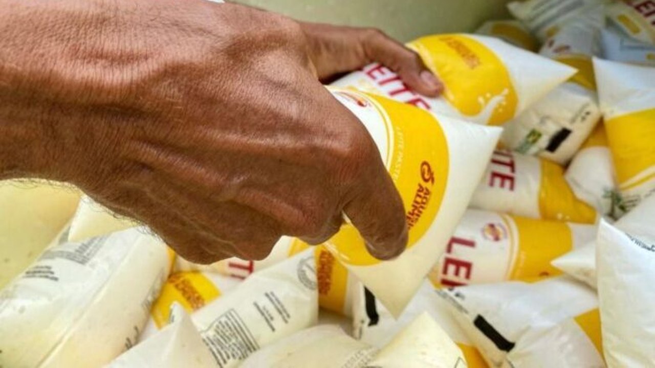 Recadastramento do Programa do Leite em Penedo começa em 14 de março