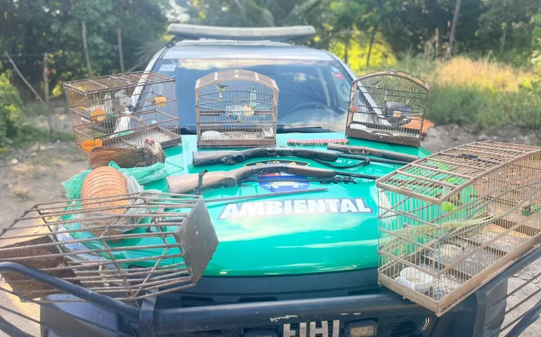 Polícia Militar apreende aves silvestres, armas e armadilhas de caça em Porto de Pedras