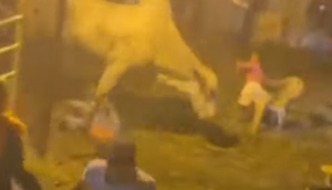 Touro quebra cerca, avança no público e deixa feridos durante evento em Campo do Brito