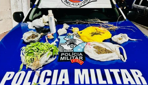 plantio de maconha / Foto: Reprodução: Foto/ Redes Sociais