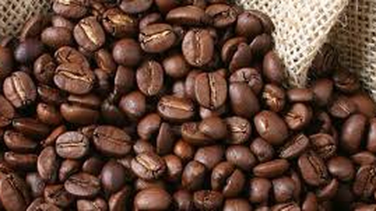 Bahia na vanguarda da produção de cafés especiais no Brasil