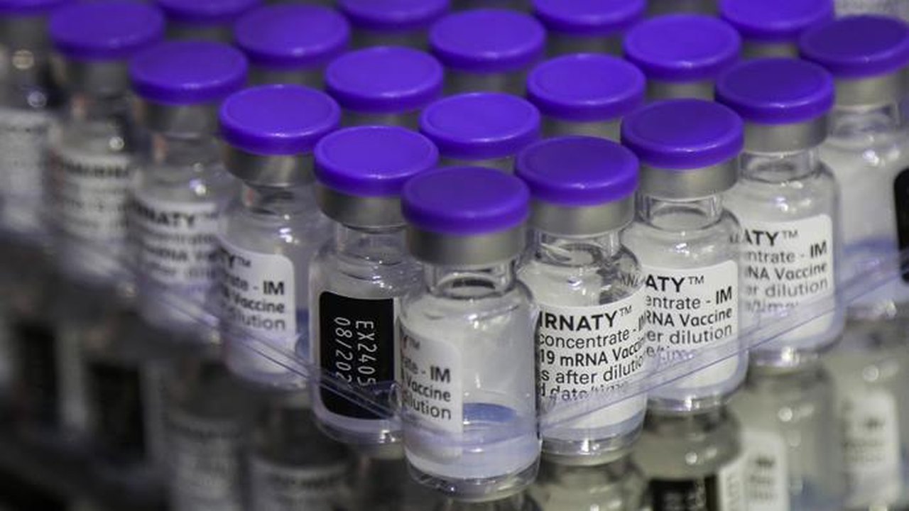 Covid-19: Alagoas recebe mais 10.530 doses da vacina Pfizer para imunizar população