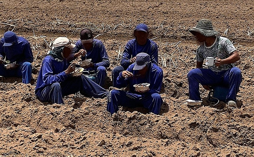 PF e MPT identificam mais de 220 trabalhadores em condição irregular