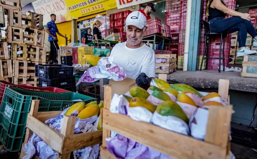 Boletim da Conab indica ﻿queda nos preços no mercado hortigranjeiro