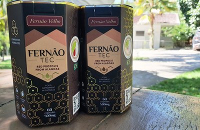 Própolis vermelha: Um case de sucesso sobre a vocação alagoana para inovação e o empreendedorismo