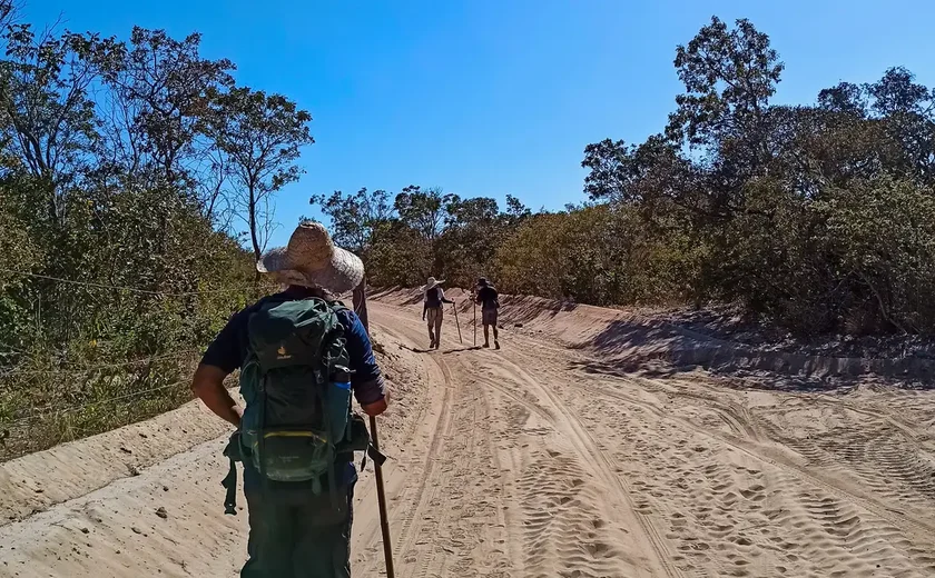 Caminhada nórdica: exercício de baixo impacto que trabalha quase todos os músculos; veja benefícios