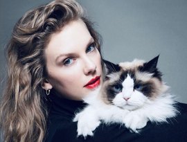 Cadeira usada por Taylor Swift em jogo da NBA é leiloada por valor impressionante