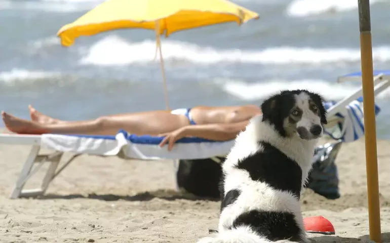 Cidade italiana proíbe fumo em praia e amplia horário para cães no mar