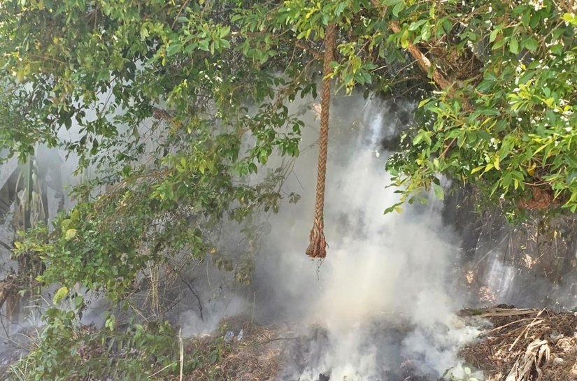 Polícia Militar registra ocorrência de incêndio em área de preservação em Fernão Velho