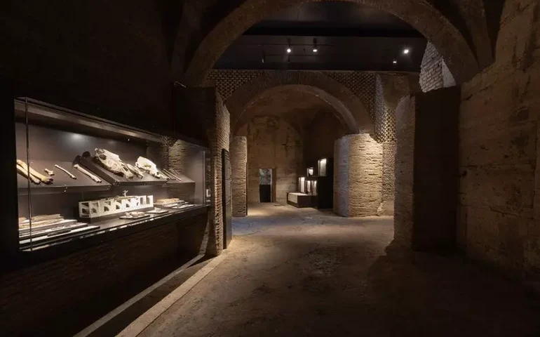 Mostra no Coliseu destaca hábitos da plateia da Roma Antiga