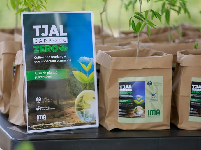 TJAL institui programa de reflorestamento, arborização e educação ambiental