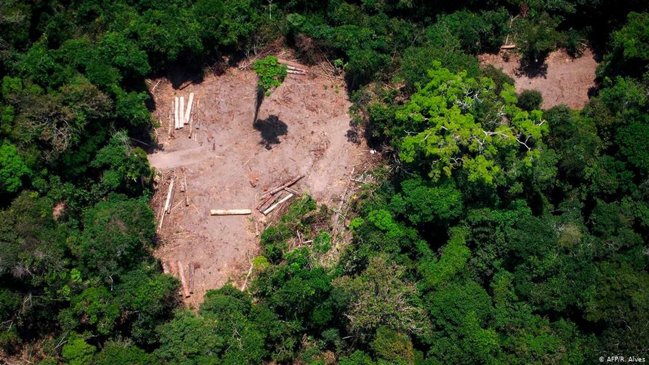 Qual o futuro dos investimentos da Alemanha na proteção da Amazônia?