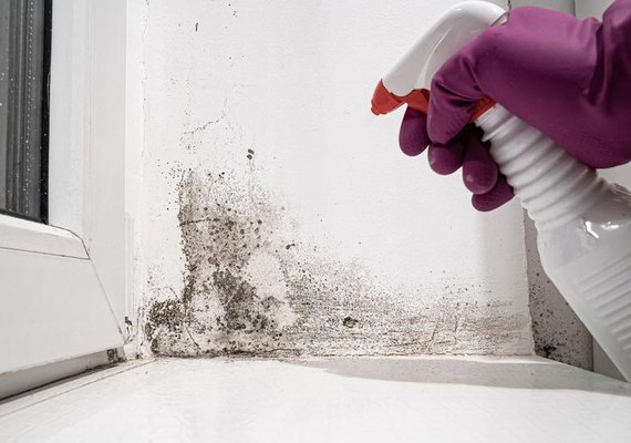 Como evitar o mofo no período de chuva?