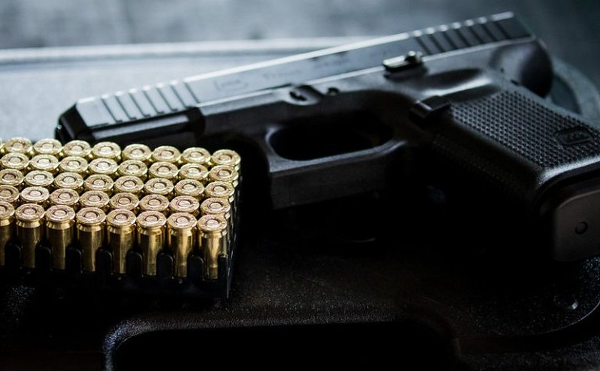 Por que caiu o nº de apreensões de armas? E quantos registros novos foram liberados pela PF?
