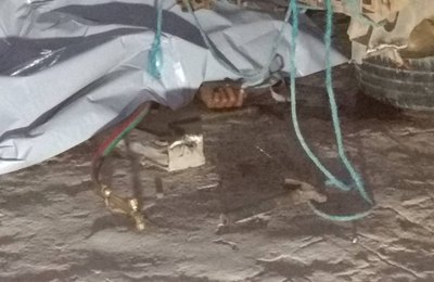 Mulher, de 56 anos, executada com 15 tiros no Pilar