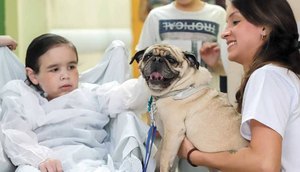 ANIMAIS EM HOSPITAIS