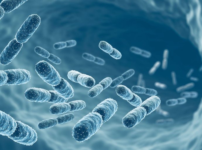 Quais são os efeitos dos probióticos no dia a dia?