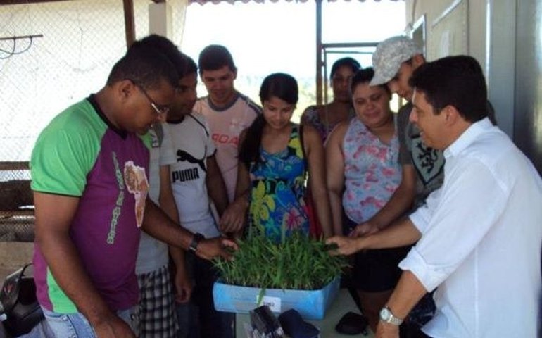 Professor da Uneal comanda descoberta de alimentos alternativos para galinhas