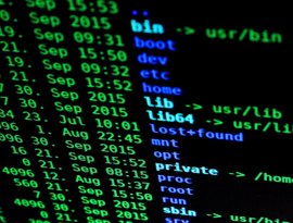 Hackers pró-Rússia invadem bancos de dados de unidades militares e empresas de defesa ucranianas