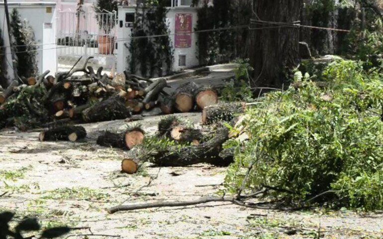 São Paulo: chuva deixa mais de meio milhão de pessoas sem energia elétrica