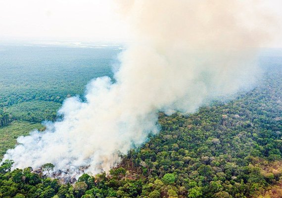 Medida provisória destina R$ 514,5 milhões para combate às queimadas na Amazônia