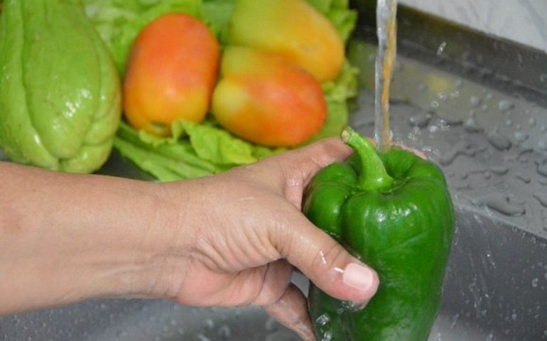 Curtir o Carnaval? Fique atento as dicas e cuidados com alimentos e sua saúde