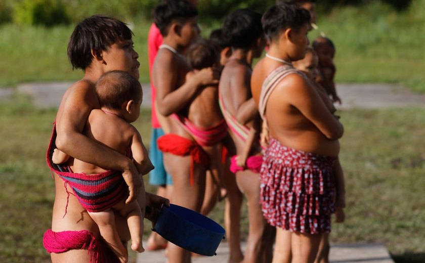 Governo implanta serviço de telessaúde para atender yanomami