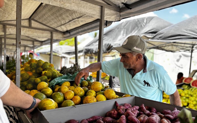 Rota do Circuito Regional de Feiras da Agricultura Familiar vai destacar potencial produtivo e turístico