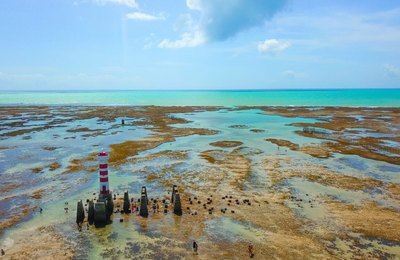 Ocupação hoteleira em Maceió será de 80% no período do Carnaval