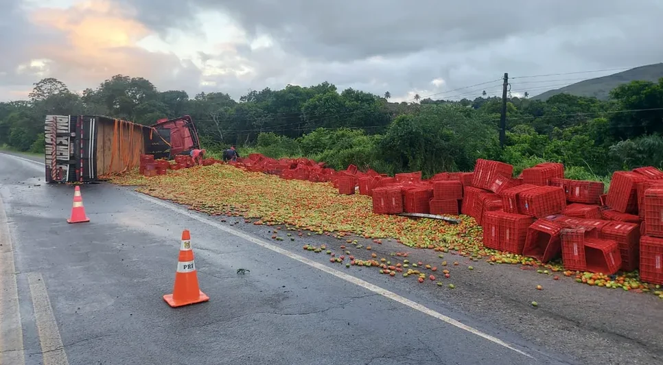 Caminhão tomba e carga é saqueada por populares na BR-235