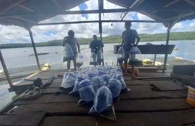 Coruripe e CODEVASF garantiu a doação de 37 mil alevinos para piscicultores do município