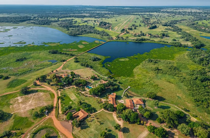 Turismo de conservação transforma viagens em experiências de impacto positivo