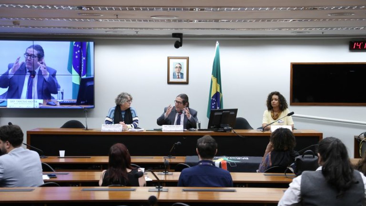CE aprova debates sobre gestores de frotas e pequenos investidores