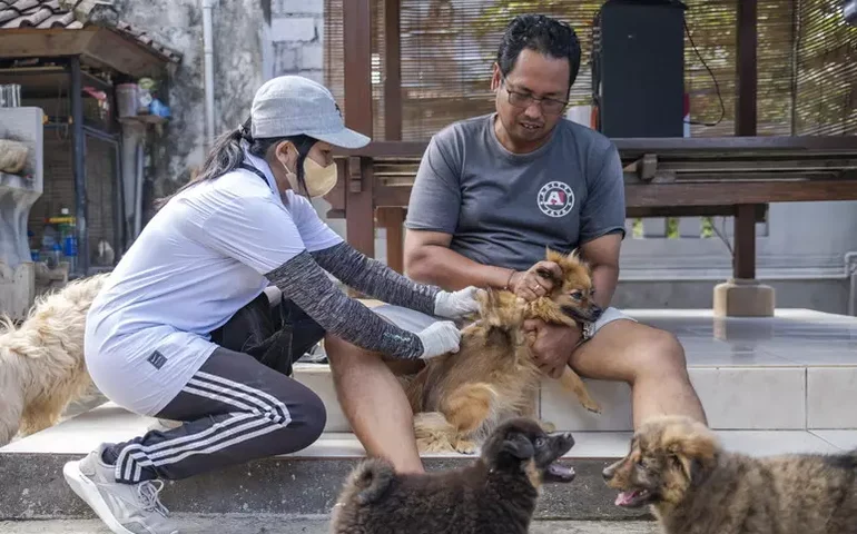 Jacarta proíbe venda e consumo de carne de cachorro e gato