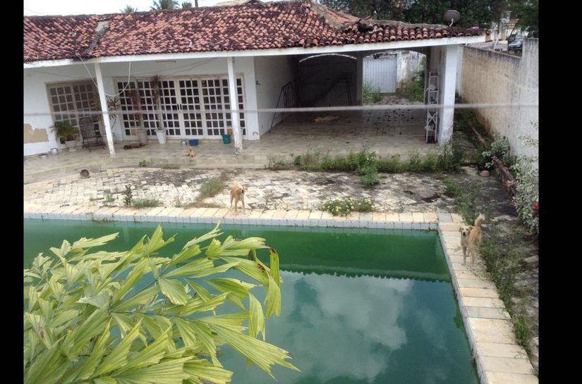 OAB/AL constata abandono de cães  em casa e dona deve responder pelo crime