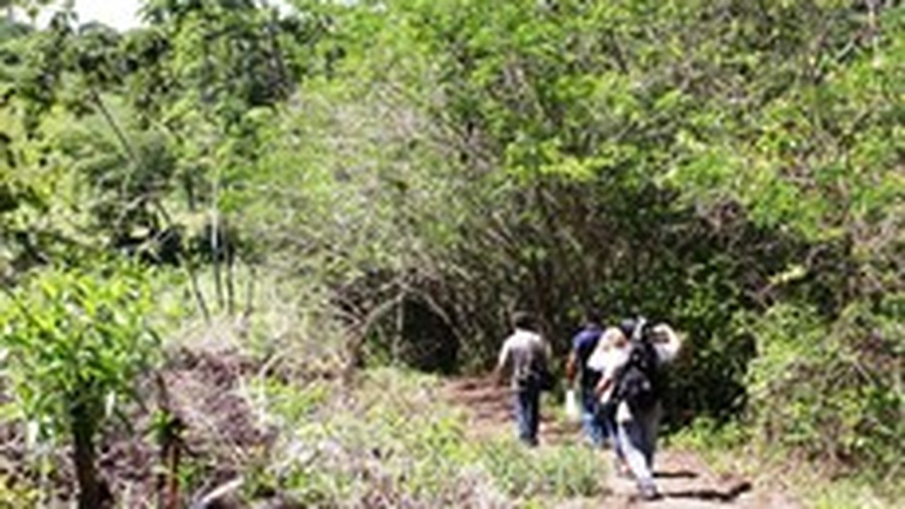 Turismo de experiência em área de preservação ambiental