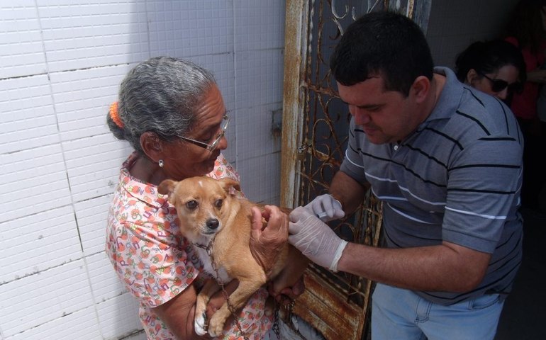 Vigilância em Zoonoses registra caso de raiva em área rural de Maceió