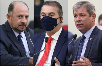 Projeto de lei que cria o "Passaporte da Vacina" é tema de discussão em plenário