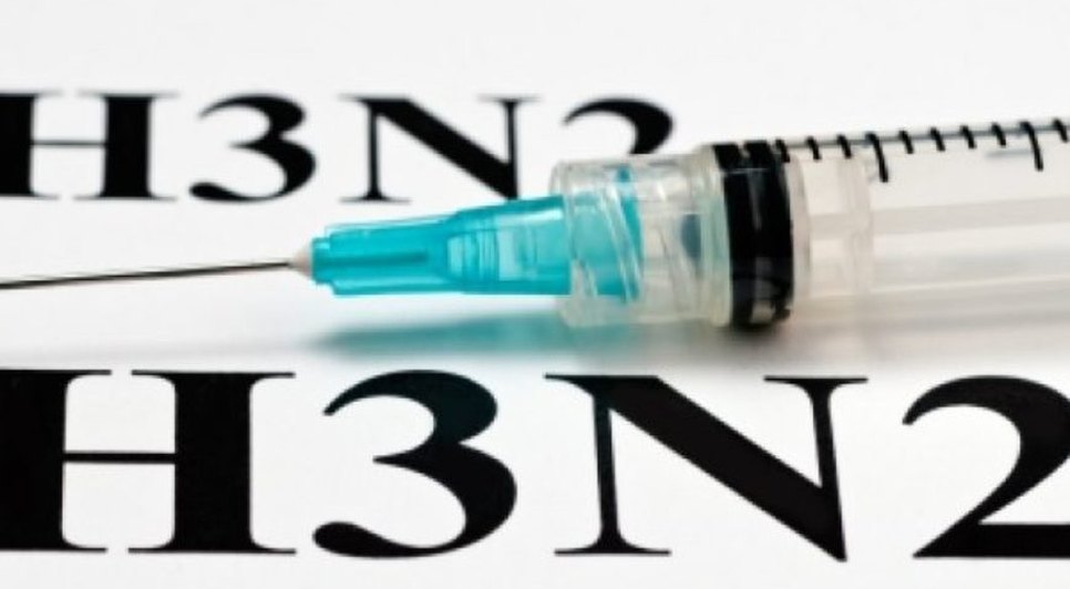 h3n2-870x522.jpg