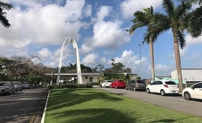 Sepultamento será no Parque das Flores, em Maceió Sepultamento será no Parque das Flores, em Maceió