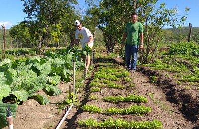 Seagri-AL distribui kits de irrigação na próxima sexta-feira, 18, em Arapiraca