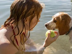 Altas temperaturas mudam a rotina dos pets e exigem novos cuidados dos tutores - Divulgação (3).jpg 