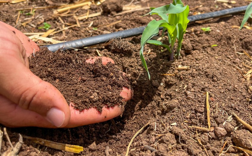 Alagoas foi primeiro estado do Nordeste a lançar Plano de Agricultura de Baixo Carbono