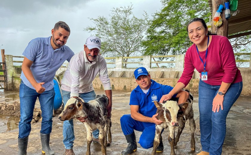  Melhoramento genético: Seagri e Conafer realizaram mais de 280 protocolos de inseminação em bovinos 